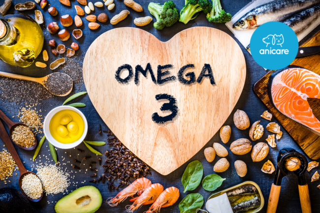 Fischöl und Leinsamen: Natürliche Quellen von Omega-3-Fettsäuren für eine optimale Haustierernährung