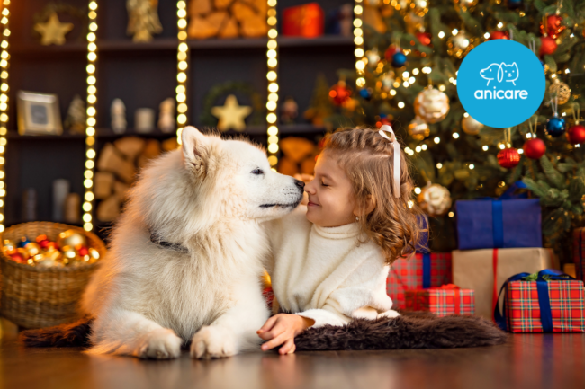 Hundeliebe unterm Baum: Die besten Weihnachtsgeschenke für Zwei- und Vierbeiner