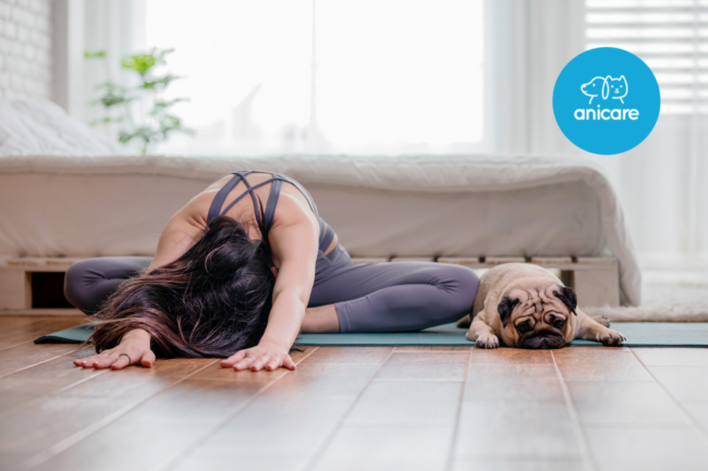 Yoga mit dem Hund: Entspannung und Bindung durch gemeinsame Übungen