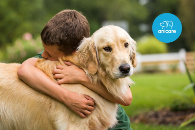 Hunde und Kinder: Tipps für ein sicheres Zusammenleben