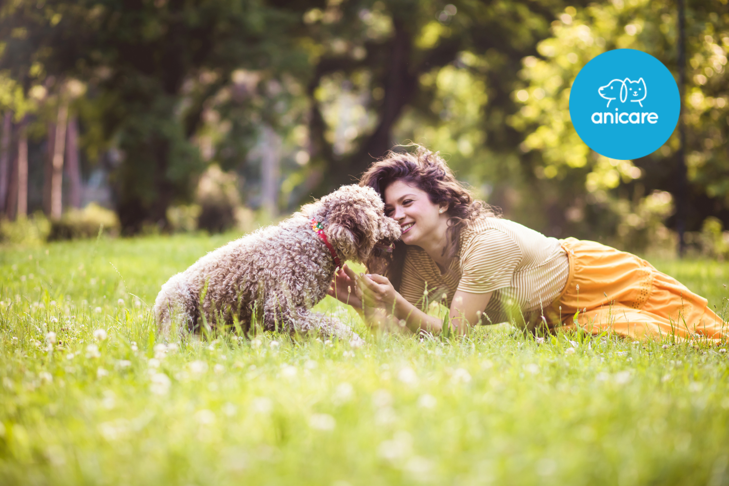 Wie Glucosamin die Gelenkgesundheit deines Hundes unterstützt