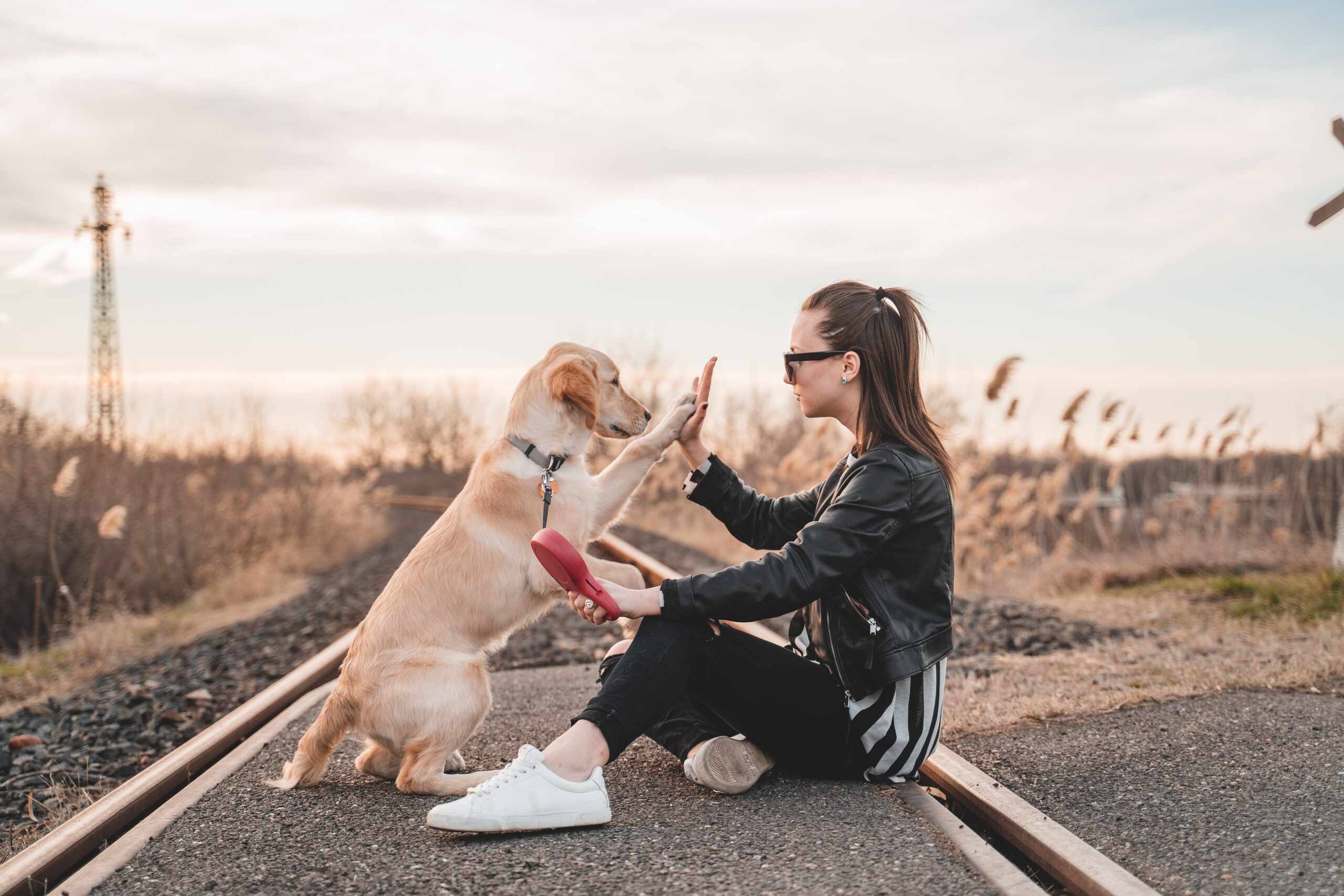 Un nouveau départ : 5 résolutions du Nouvel An pour les amoureux des chiens