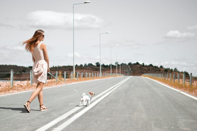 Dois-je quand même promener mon chien si j’ai un jardin ?