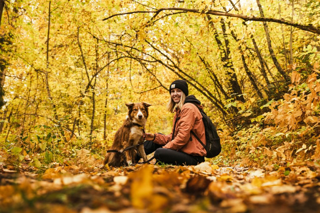 Capturer la Magie de l’Automne : Conseils Photo pour de Superbes Photos de Chiens