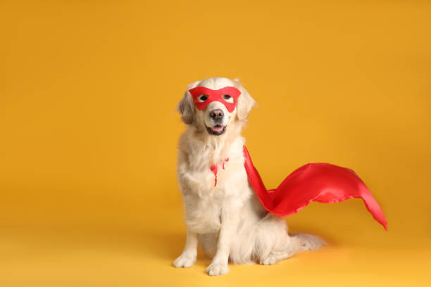 Chiens Héros: Histoires de Chiens Extraordinaires Qui Ont Sauvé des Vies