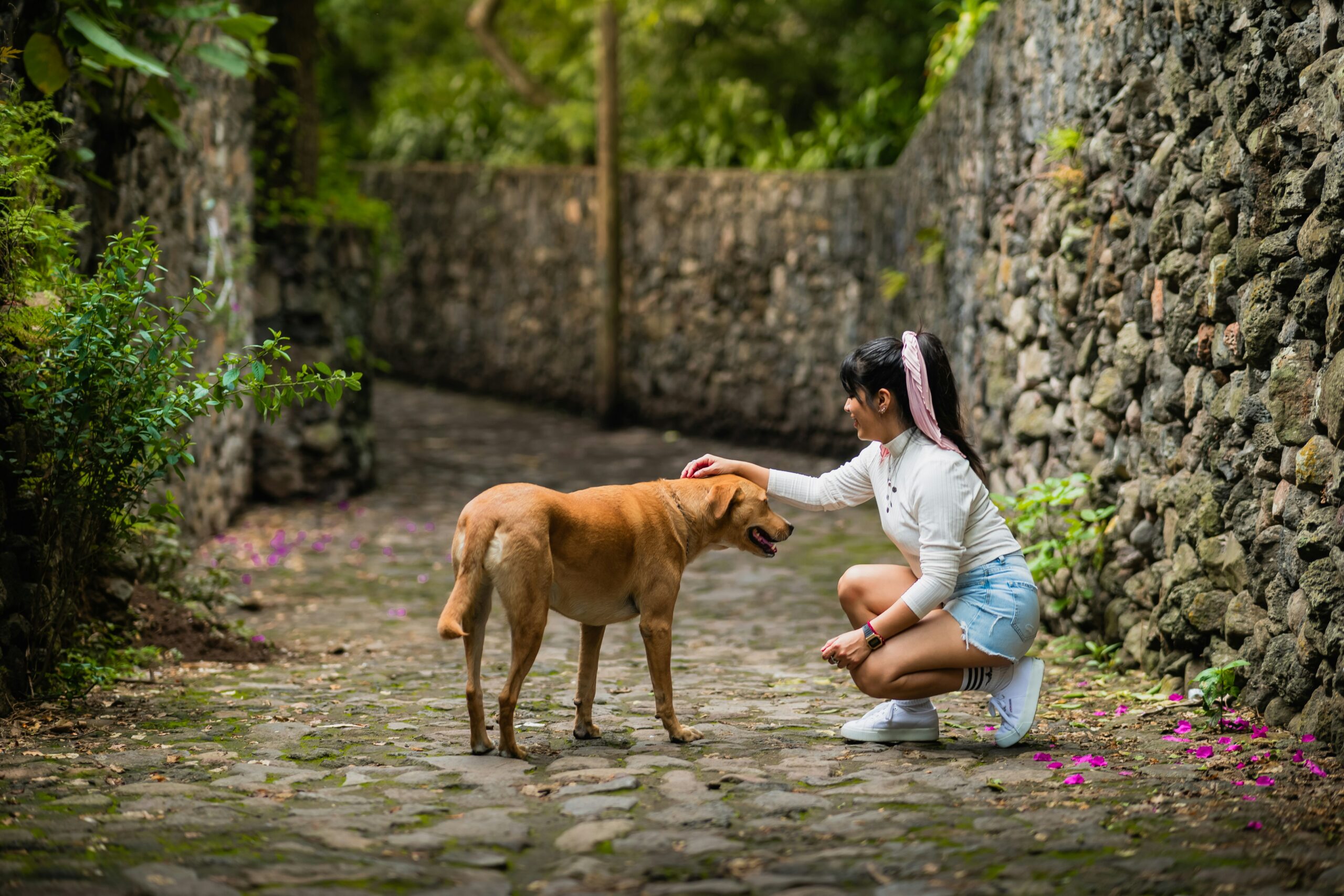 Mindfulness Wandelingen met je Hond: Verbeter Jullie Gezondheid en Band