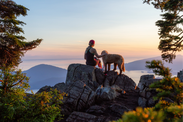 Je Hond Trainen voor Lange Hikes: Zomereditie
