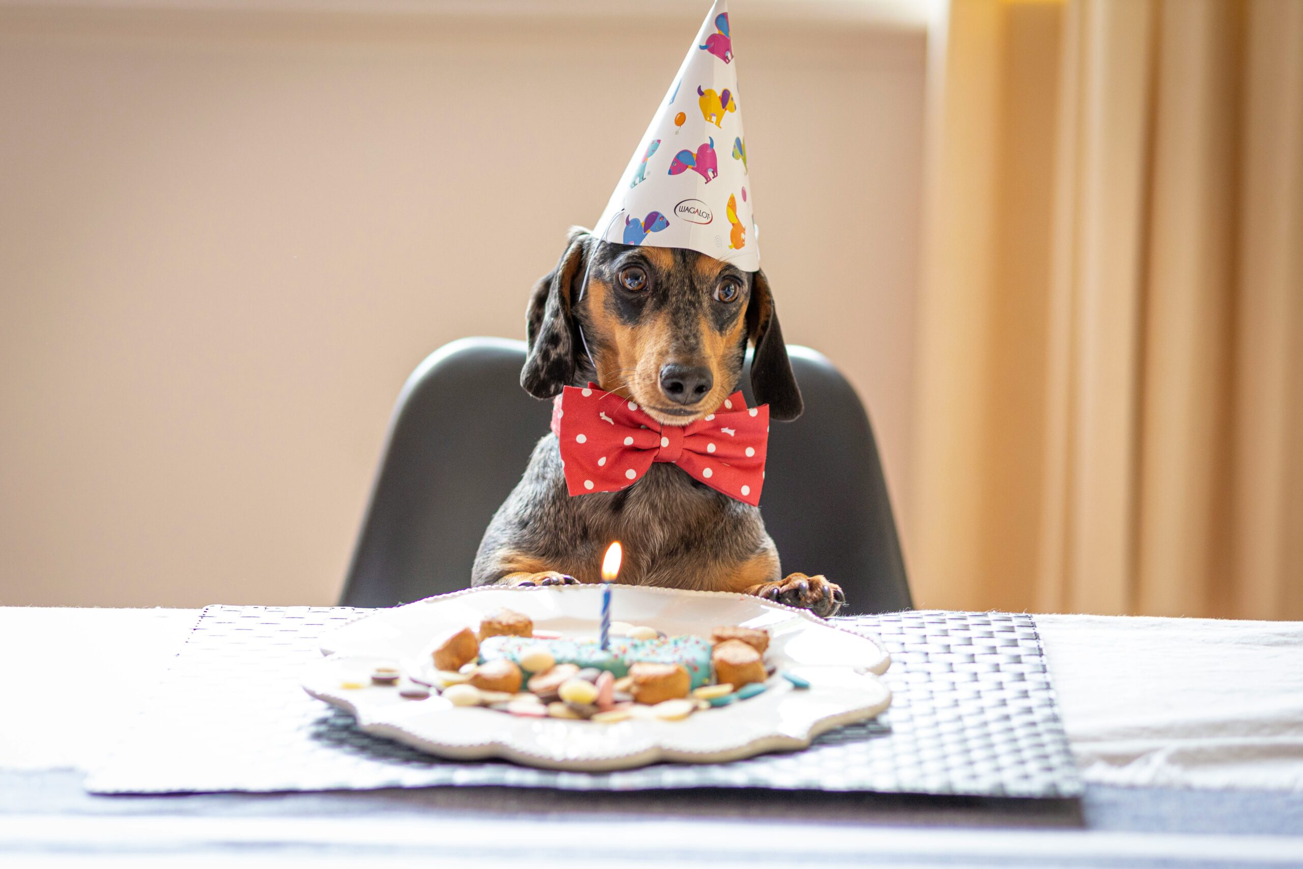Hoera, wij bestaan 5 jaar!